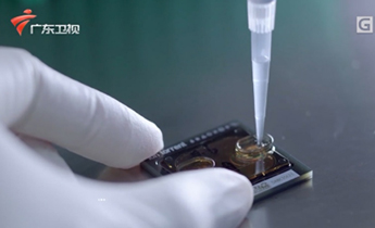 首页| 88858cc永利集团(Macau)官方网站