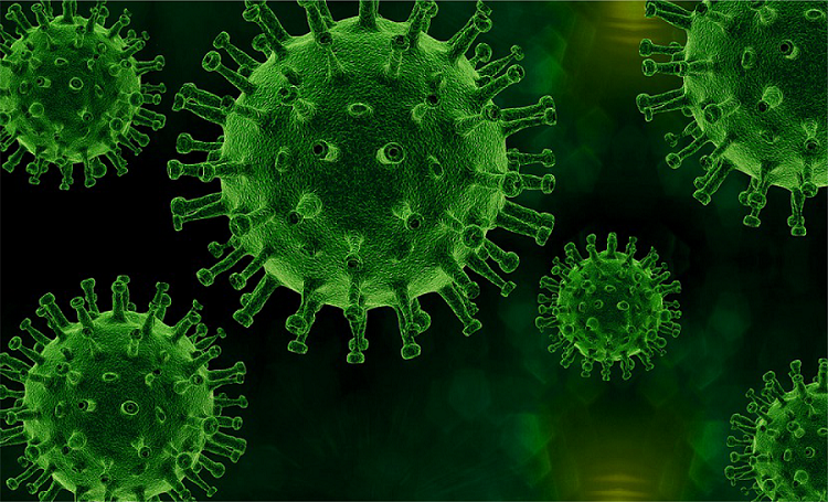 首页| 88858cc永利集团(Macau)官方网站