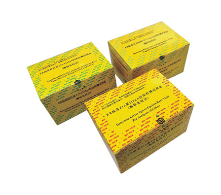 首页| 88858cc永利集团(Macau)官方网站