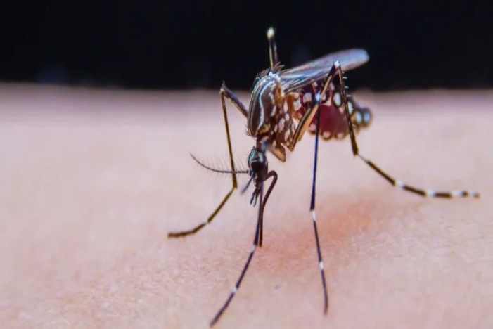 首页| 88858cc永利集团(Macau)官方网站